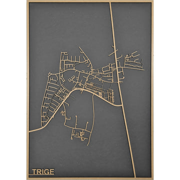 Trige - 8380